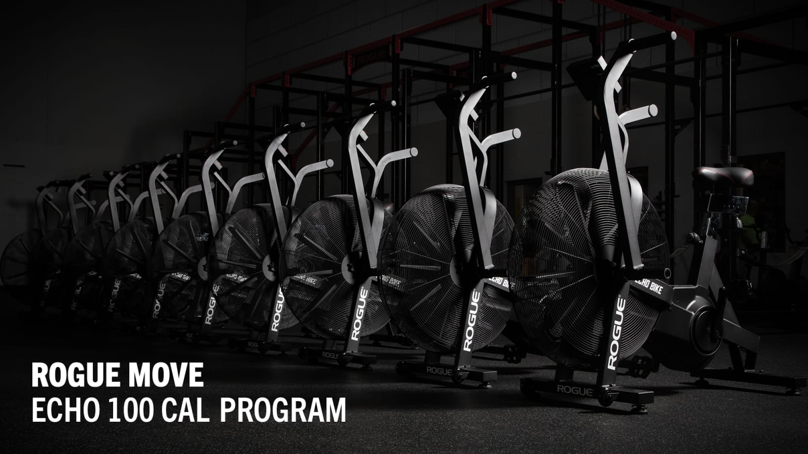Rogue echo on sale bike workouts